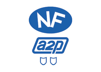 Nfa2p